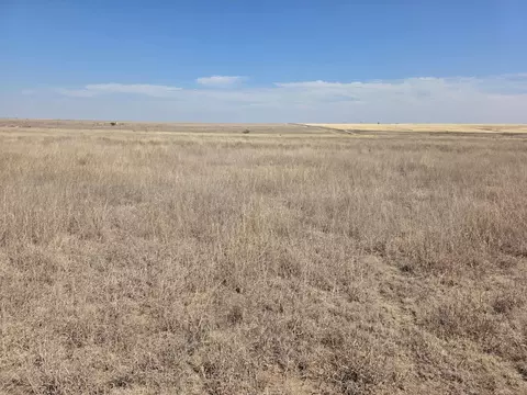 Sect 573 Blk 43, Perryton, TX 79070