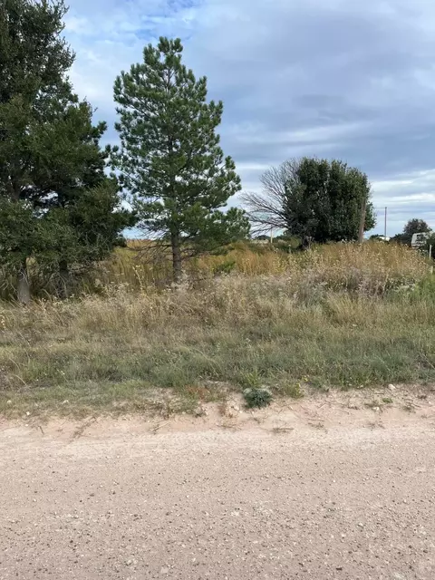 417 Sage Mesa Fritch Tx 79036-5004, Fritch, TX 79036