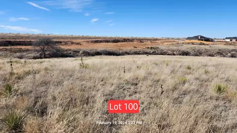 1651 Blakely Hollow Drive Amarillo Tx 79124 Dr, Amarillo, TX 79124