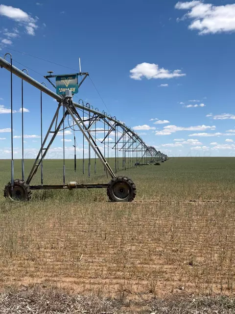 000 000 Dalhart Tx 79022, Dalhart, TX 79022