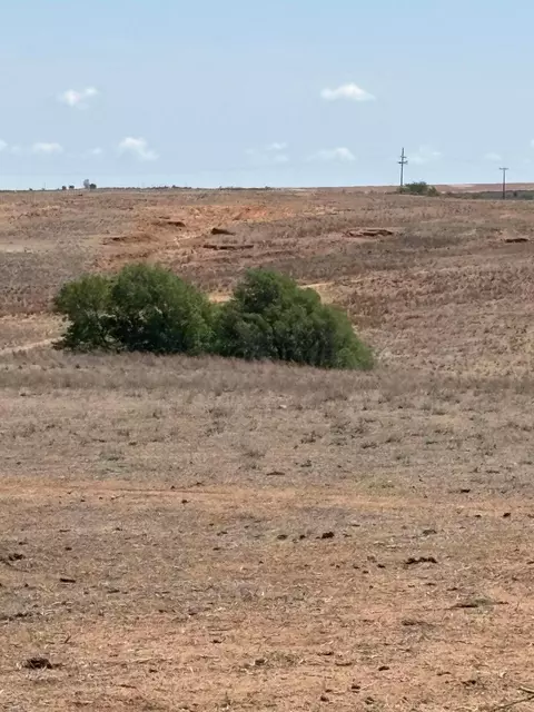 Mclean, Mclean, TX 79057 photo 5