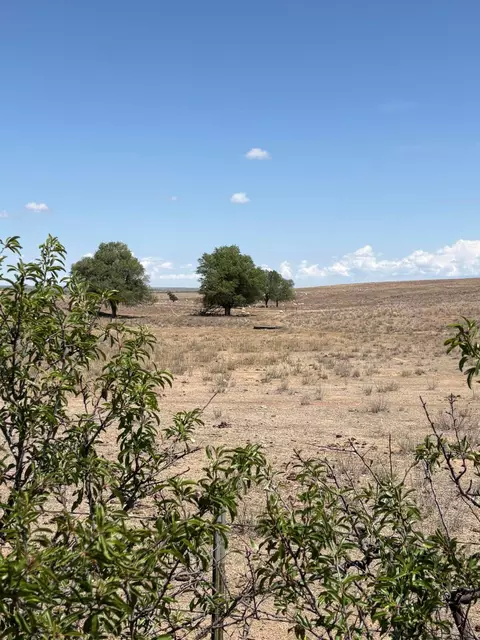 Mclean, Mclean, TX 79057 photo 4