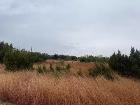Tx-207, Claude, TX 79094