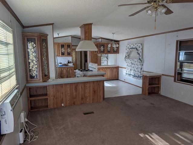 218 Olita Drive Howardwick Tx 79226 Dr, Howardwick, TX 79226