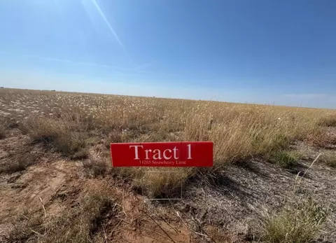 11265 Strawberry Lane Hartley Tx 79044 Ln, Hartley, TX 79044