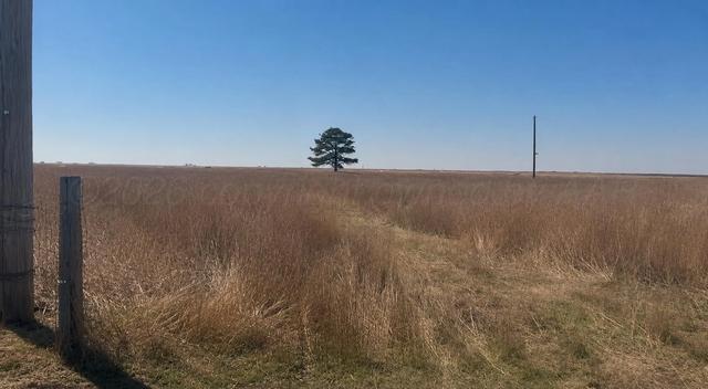5050 Farm To Market Road 722 Channing Tx 79018, Channing, TX 79018