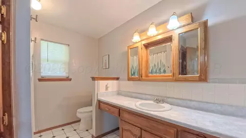 Bath - 9600 Western Lane Fritch Tx 79036 Ln, Fritch, TX 79036 photo 2 of 2