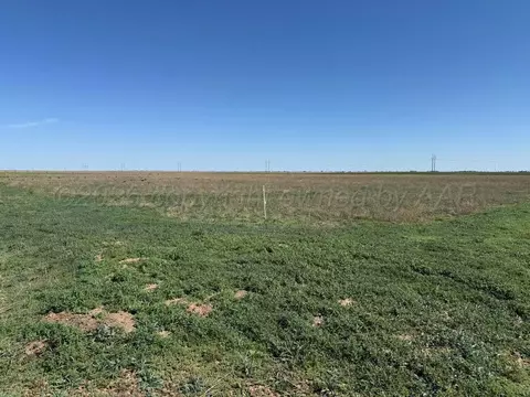 Blackbird, Amarillo, TX 79108 photo 2