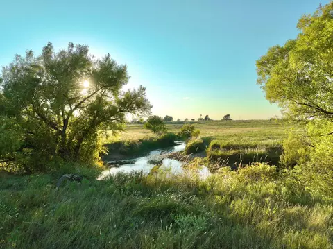 First Creek Ranch, Booker, TX 79005