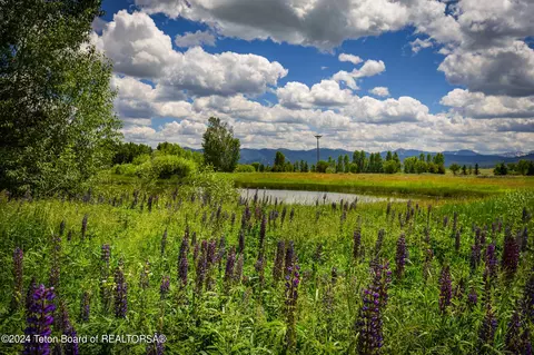 4767 Paradise Springs Rd, Victor, ID 83455 photo 14