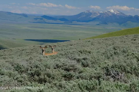 Other - N Valley Road, Lima, MT 59739 photo 17 of 27