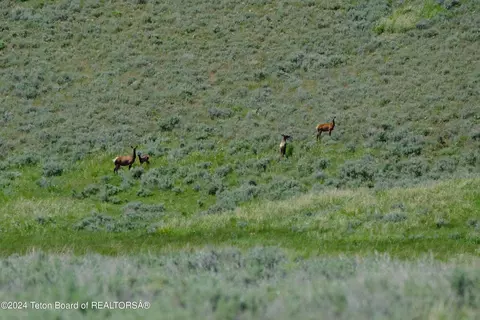 Other - N Valley Road, Lima, MT 59739 photo 9 of 27