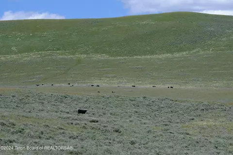 Other - N Valley Road, Lima, MT 59739 photo 5 of 27