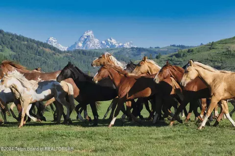 15400 Gros Ventre Rd, Kelly, WY 83011