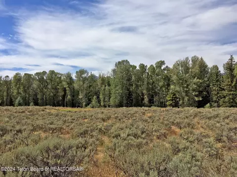 8625 Porter Loop, Jackson, WY 83001 photo 14