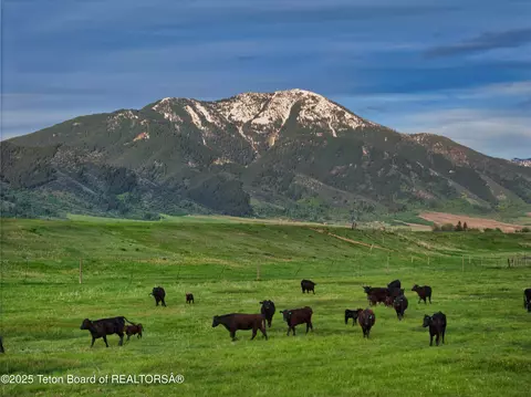 536 Ranger Station Rd, Swan Valley, ID 83449