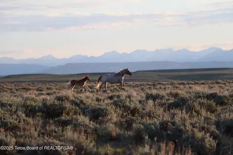 0 Blm Rd 4103, Boulder, WY 82923 photo 5