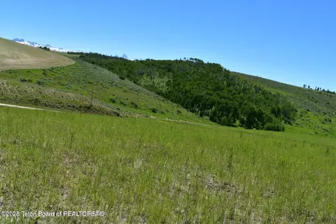 Reece Road, Felt, ID 83424 photo 4