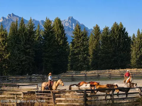 63556335 N Red Tail Rd, Jackson, WY 83001