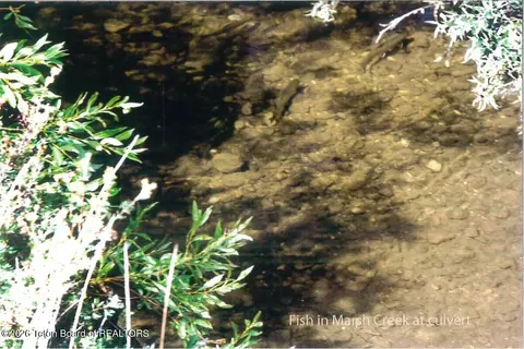 Other - 41 Marsh Creek Rd, Cora, WY 82925 photo 18 of 26