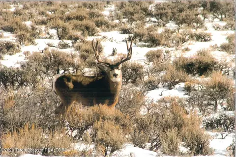 Other - 41 Marsh Creek Rd, Cora, WY 82925 photo 3 of 26