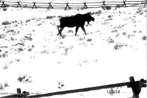 Other - 41 Marsh Creek Rd, Cora, WY 82925 photo 23 of 26