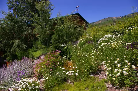 Exterior - 189 Choke Cherry Ln, Irwin, ID 83428 photo 12 of 12