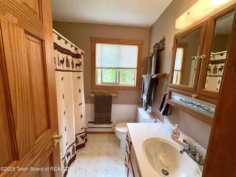 Bath - 189 Choke Cherry Ln, Irwin, ID 83428 photo 1 of 2