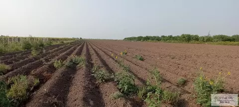 10 N 00 Acres N Mile 4, Mercedes, TX 78570
