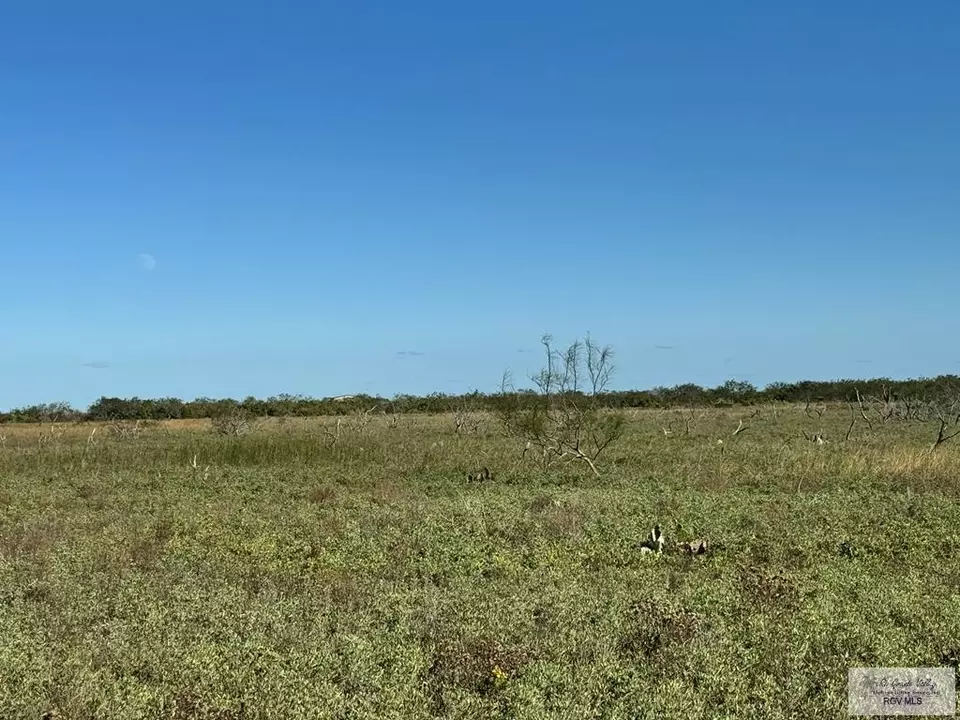  Tract Iv San Fernando Rd, Rio Hondo, TX 78583 photo 11