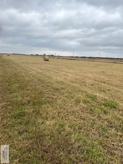 20 Acres Nelson Rd, Rio Hondo, TX 78583