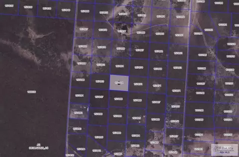 lot84 Acuna St, Brownsville, TX 78521