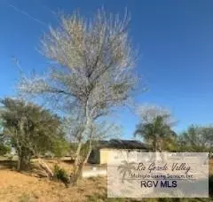 00 W Cantu Rd, Santa Rosa, TX 78593