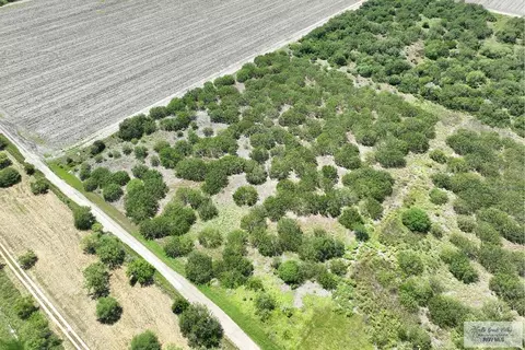 Undisclosed, San Benito, TX 78586
