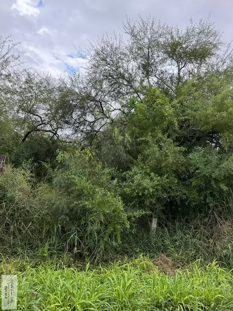 10 Acres Barlow Rd, San Benito, TX 78586