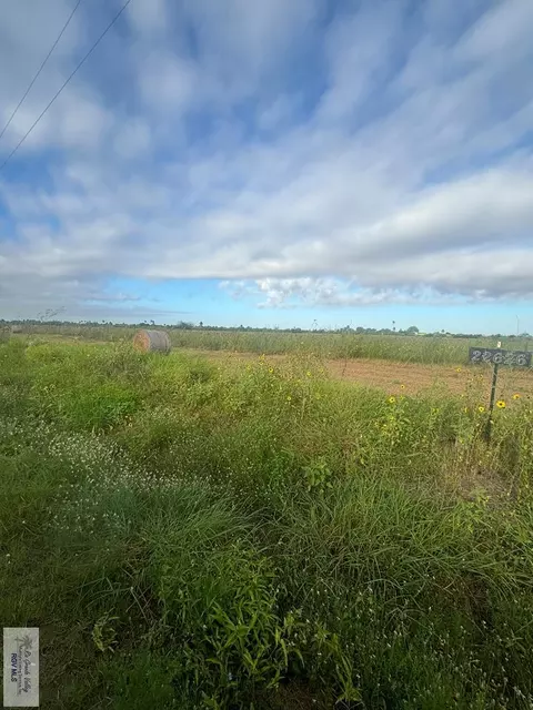 10 029 Acres Louisiana Rd, La Feria, TX 78559
