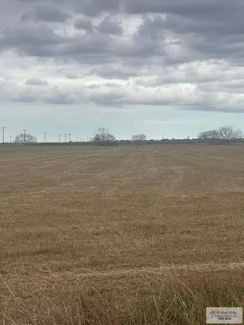 0 Rodriguez Rd, Santa Rosa, TX 78593