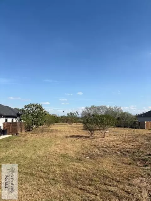 1486 N Vermillion Ave, Brownsville, TX 78521