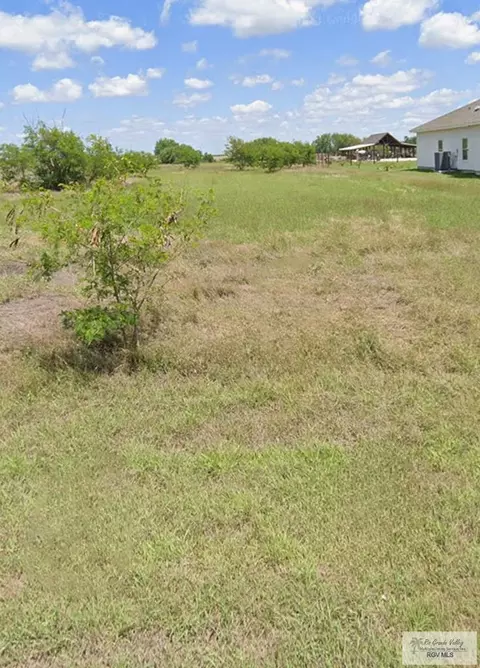 0 Robert Longoria Dr, Santa Rosa, TX 78593