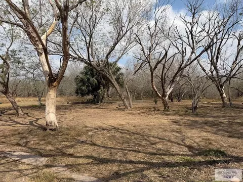 117 E Park Ln, Harlingen, TX 78552 photo 3