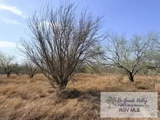 000 Gamble Rd, San Benito, TX 78006