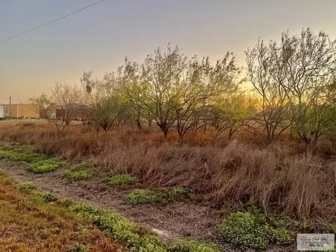 N/a Louisiana Rd., La Feria, TX 78559