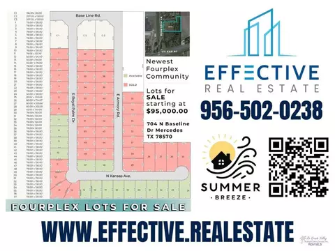 204 Royal Palm Dr, Mercedes, TX 78570