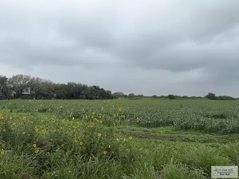 00 Line 26 Rd, Rio Hondo, TX 78583