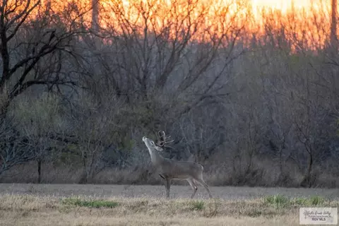 0 Las Brisas Dr, Rio Grande City, TX 78582