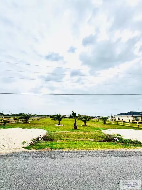 32669 Cactus Rd, Los Fresnos, TX 78586