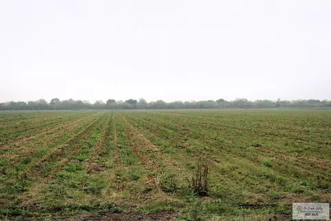 00 Fm 2556, Santa Rosa, TX 78593