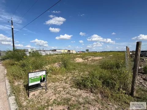3919 Beaux 12 Mile N, Mercedes, TX 78570