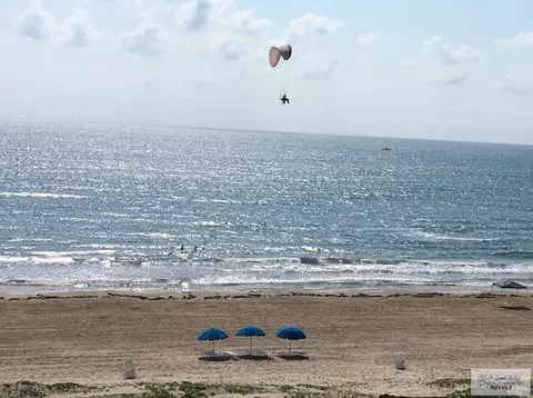 110 Padre Blvd #212, South Padre Island, TX 78597
