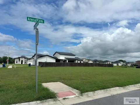 00 Areca Palm, Brownsville, TX 78526